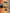 R.EFORMER'S BUNDLE