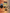 R.EFORMER'S BUNDLE